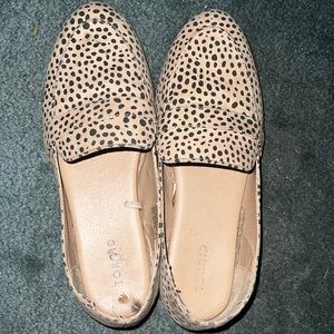 Torrid Loafers